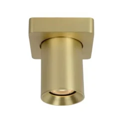 Lucide NIGEL - Plafondspot - LED Dim to warm - GU10 - 1x5W 2200K/3000K - Mat Goud / Messing