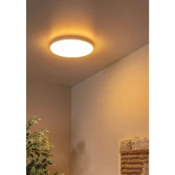 Lucide OLSON - Plafonnière - Ø 29 cm - LED Dimb. - CCT - 1x24W 3000K/6500K - Opaal