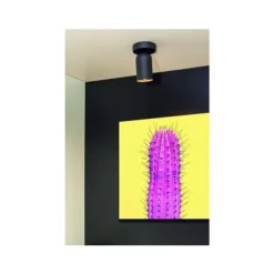 Lucide PUNCH Plafondspot-Zwart-1xGU10-35W-Metaal