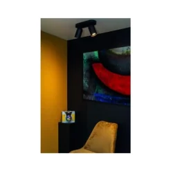 Lucide PUNCH Plafondspot-Zwart-2xGU10-35W-Metaal