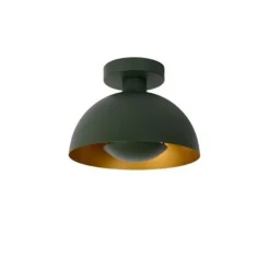 Lucide SIEMON - Plafonnière - Ø 25 cm - 1xE27 - Groen
