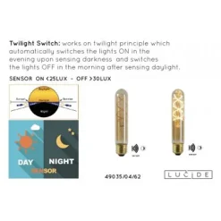 Lucide T32 TWILIGHT SENSOR - Filament lamp Buiten - Ø 3,2 cm - LED - E27 - 1x4W 2200K - Amber