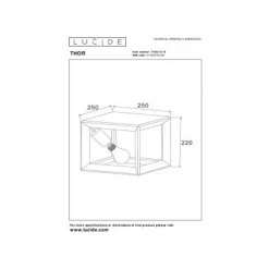 Lucide THOR - Plafonnière - 1xE27 - Grijs ijzer