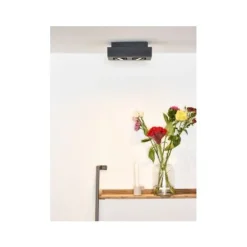 Lucide XIRAX Plafondlicht 2xGU10/5W DTW 3000K Zwart