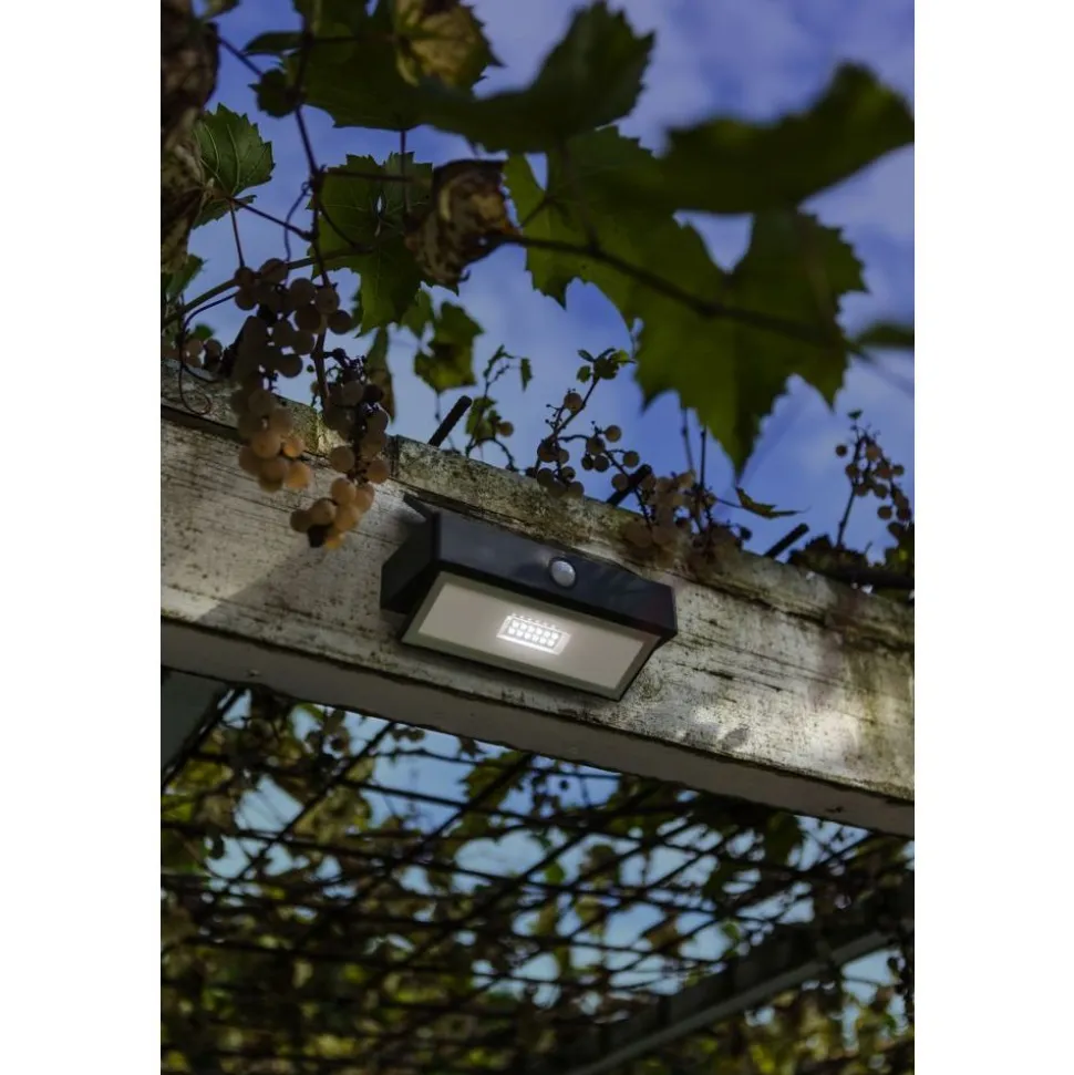 Lutec ARROW Solar wandlamp Donkergrijs LED 2,3W