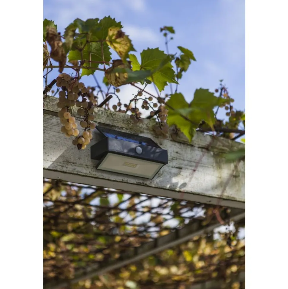 Lutec ARROW Solar wandlamp Donkergrijs LED 2,3W