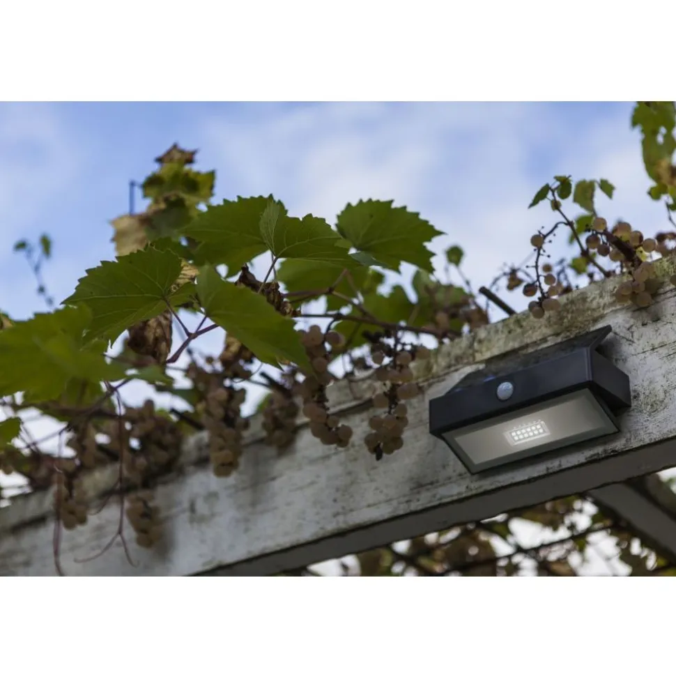 Lutec ARROW Solar wandlamp Donkergrijs LED 2,3W