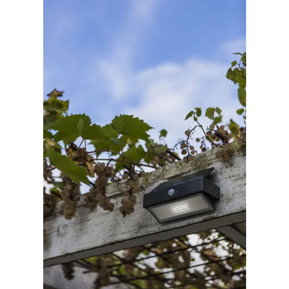 Lutec ARROW Solar wandlamp Donkergrijs LED 2,3W