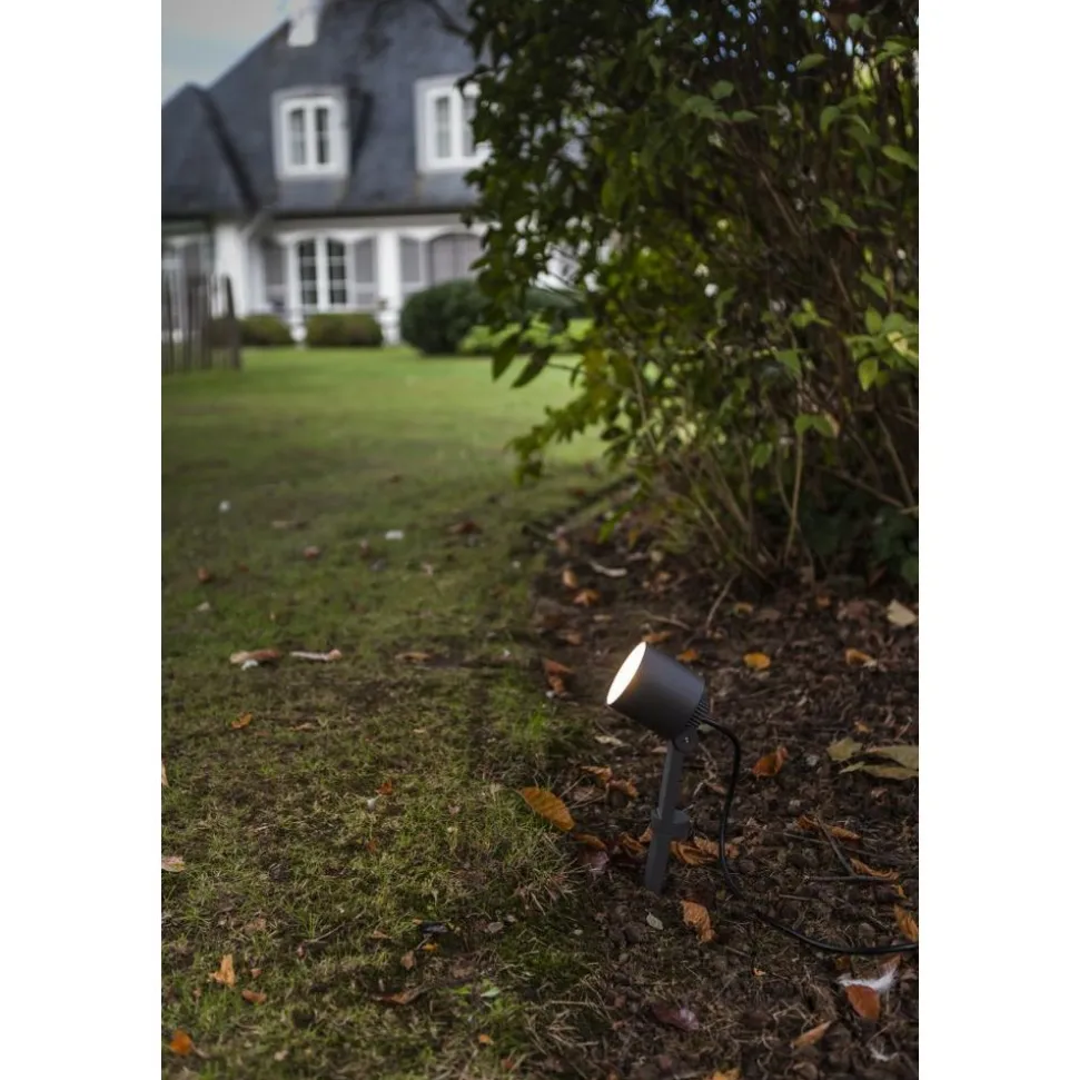 Lutec EXPLORER Prikspot Donkergrijs LED 5W