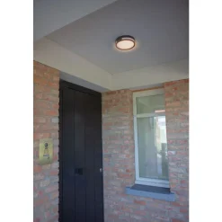 Lutec ROLA Wand / plafondlamp Donkergrijs LED 13W