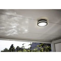 Lutec TITAN Wand / plafondlamp Donkergrijs E27 60W