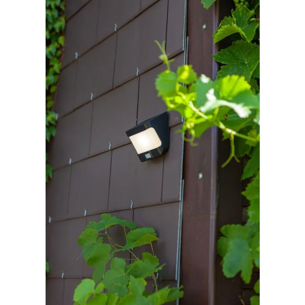 Lutec TRY Solar wandlamp met sensor Zwart LED 8W
