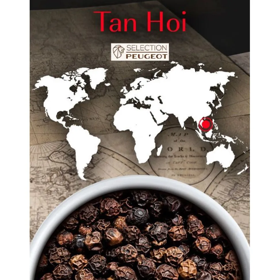 Peugeot Tan Hoi Zwarte peper uit Vietnam, 80 g - 4 vershoudzakjes van 20 g