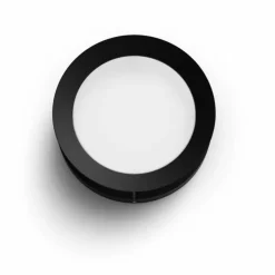 Philips Lighting Actea wall lantern black 1x12W 176V