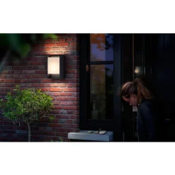 Philips Lighting Arbour wall lantern anthracite 1x6W 230V