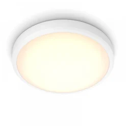 Philips Lighting BALANCE CL257 EC RD 17W 27K W HV IP44 06