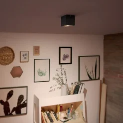 Philips Lighting BOX single spot black 1x4.5W SELV