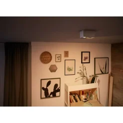 Philips Lighting BOX special form white 2x4.5W SELV