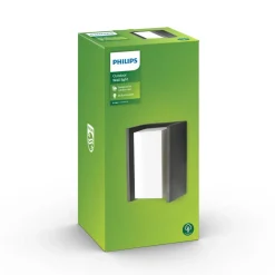 Philips Lighting Bridge wall lantern anthracite 1x42W 230