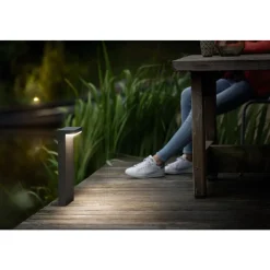 Philips Lighting Bustan pedestal anthracite 2x4.5W SELV