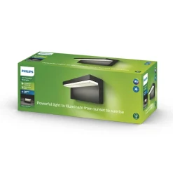 Philips Lighting Bustan wall lantern anthracite 2x4.5W