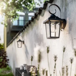 Philips Lighting Buzzard wall lantern black 1x60W 230V