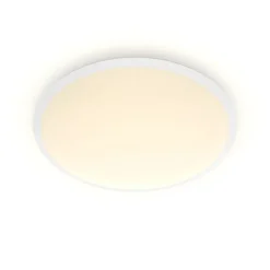 Philips Lighting Cavanal SS RD 12W 27K W HV IP20 06