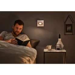 Philips Lighting CLOCKWORK single spot white 1x4.5W SELV