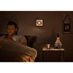 Philips Lighting CLOCKWORK single spot white 1x4.5W SELV