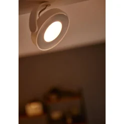 Philips Lighting CLOCKWORK bar/tube white 4x4.5W SELV