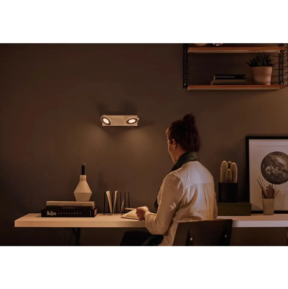 Philips Lighting CLOCKWORK bar/tube white 2x4.5W SELV