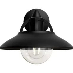Philips Lighting Cormorant wall lantern black 1x42W 230V