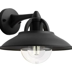 Philips Lighting Cormorant wall lantern black 1x42W 230V