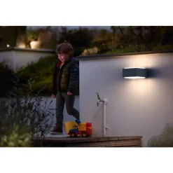 Philips Lighting Hedgehog wall lantern anthracite 1x42W