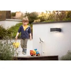 Philips Lighting Hedgehog wall lantern anthracite 1x42W