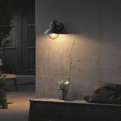 Philips Lighting Hoverfly wall lantern black 1x60W 230V