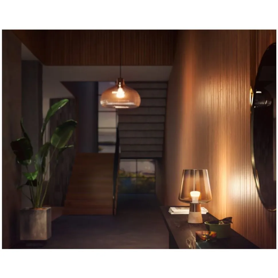 Philips Lighting Hue A60 slimme lamp Fitting E27 800K zacht warmwit (3-pack)