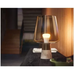 Philips Lighting Hue A60 slimme lamp Fitting E27 800K zacht warmwit (3-pack)