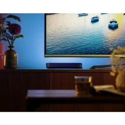 Philips Lighting Hue Play Tafellamp Zwart (2 stuks)