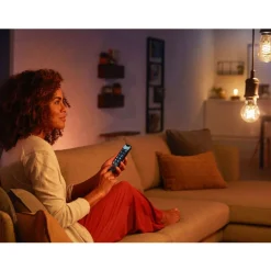 Philips Lighting Hue White filament A60