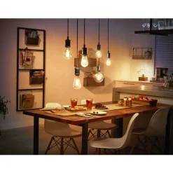 Philips Lighting Hue White filament A60