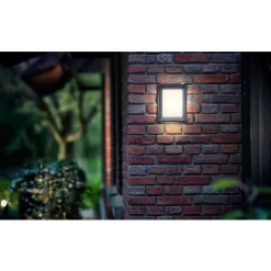 Philips Lighting Karp wall lantern anthracite 1x6W 230V