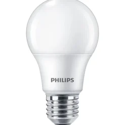 Philips Lighting LED 40W A60 E27 WW FR ND 2SRT6