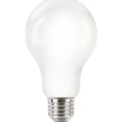Philips Lighting LED-lamp E27 A67 13W-120W CW