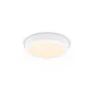 Philips Lighting MAGNEOS SF DL252 RD 210 12W 27K WH 06
