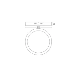 Philips Lighting MAGNEOS SF DL252 RD 210 12W 27K WH 06