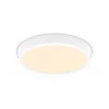 Philips Lighting MAGNEOS SF DL252 RD 284 20W 27K WH 06