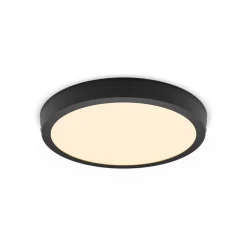 Philips Lighting MAGNEOS SF DL252 RD 284 20W 27K BL 06