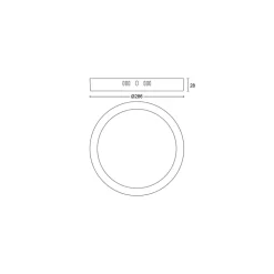 Philips Lighting MAGNEOS SF DL252 RD 284 20W 27K BL 06