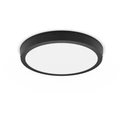 Philips Lighting MAGNEOS SF DL252 RD 284 20W 27K BL 06